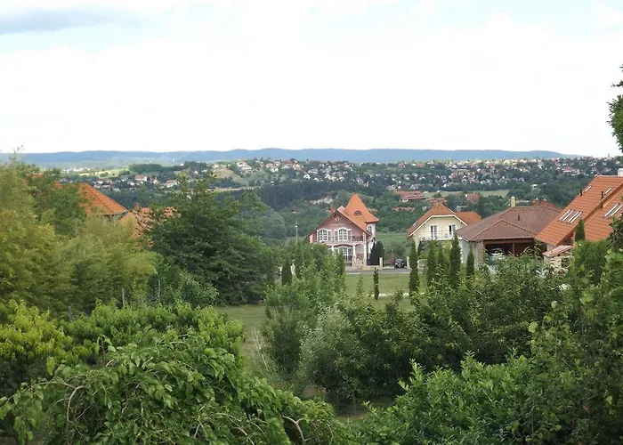 Hevizi Fecskefeszek Хевиз